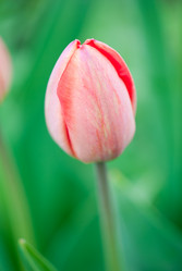 Similar image 8279002