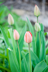 Similar image 8279003