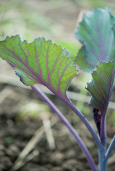 Similar image 8279005