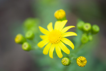 Similar image 8279010