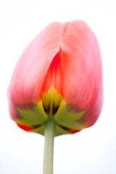 Similar image 8279014