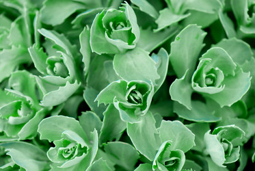 Similar image 8279015