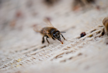 Similar image 8279016