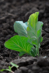 Similar image 8279017