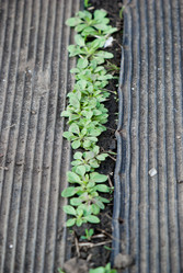 Similar image 8279018