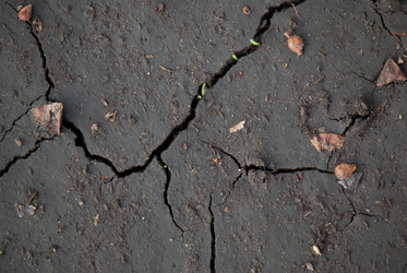 Similar image 8279019