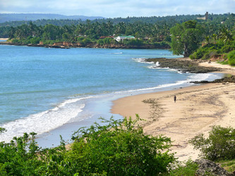 Similar image 8279032