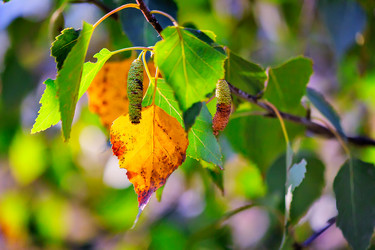 Similar image 8279117