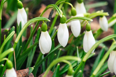 Similar image 8279120