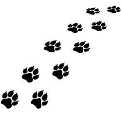 Similar image 8279553