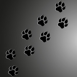 Similar image 8279568