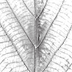 Similar image 8279794