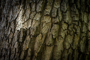 Similar image 8290535