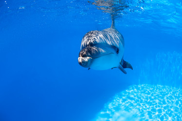 Similar image 8290567