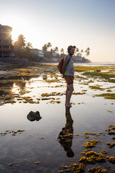 Similar image 8290653