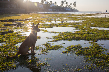 Similar image 8290659