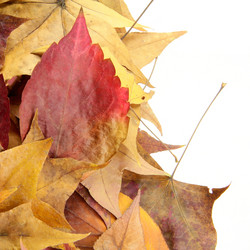 Similar image 8290666