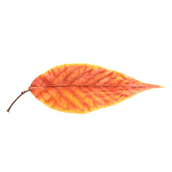 Similar image 8290667