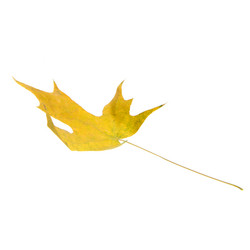 Similar image 8290674