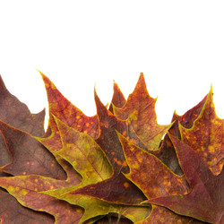 Similar image 8290675