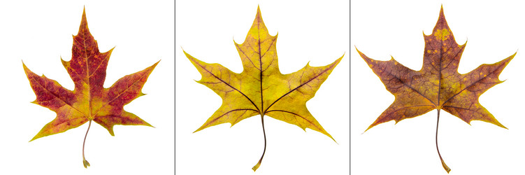 Similar image 8290679