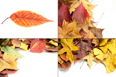 Similar image 8290680