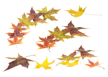 Similar image 8290681