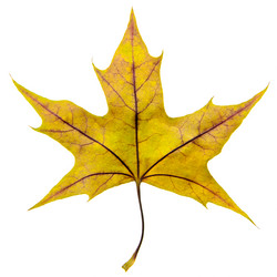 Similar image 8290682