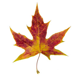 Similar image 8290683