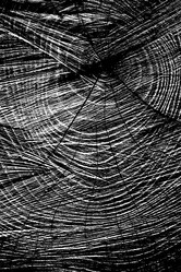 Similar image 8290804