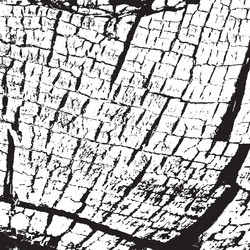 Similar image 8290833