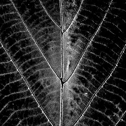 Similar image 8290856