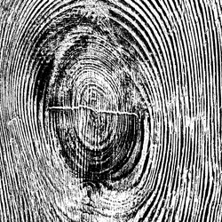 Similar image 8290871