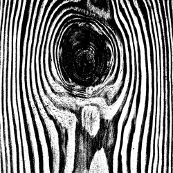 Similar image 8290900