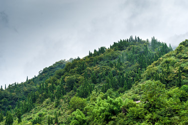 Similar image 8290928