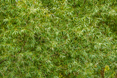 Similar image 8290971