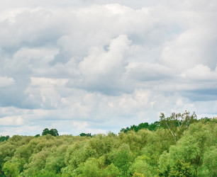 Similar image 8290974