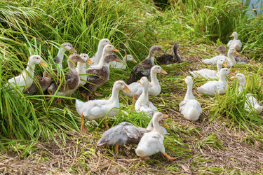 Similar image 8290983