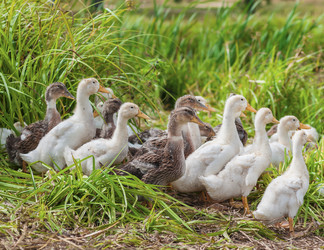 Similar image 8290985