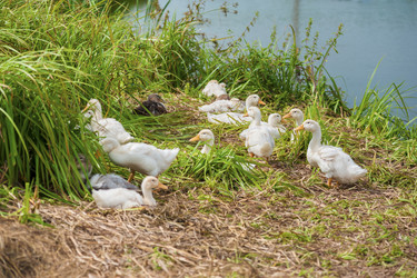 Similar image 8290989