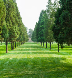 Similar image 8291004