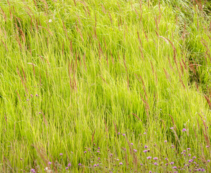 Similar image 8291005