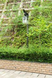 Similar image 8291010