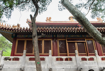 Similar image 8291016