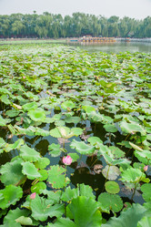 Similar image 8291032