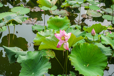 Similar image 8291033