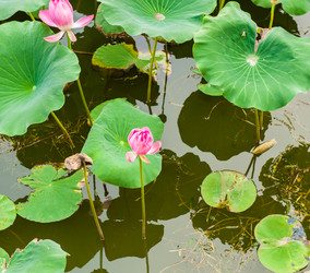 Similar image 8291054