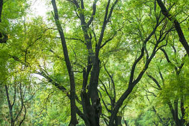 Similar image 8291103