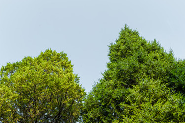 Similar image 8291105