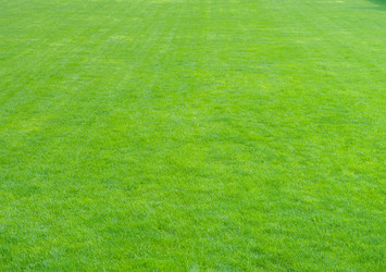 Similar image 8291111